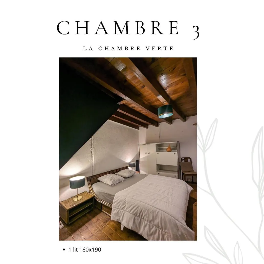 Les Gouttes Hotes - Maison De Charme Essertines-en-Chatelneuf Holiday home